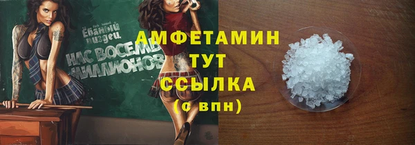 крисы Баксан