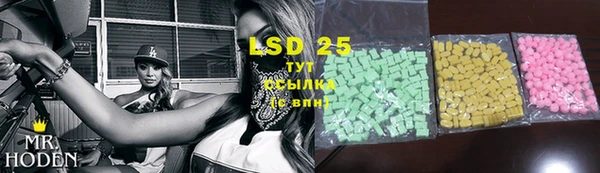 крисы Баксан