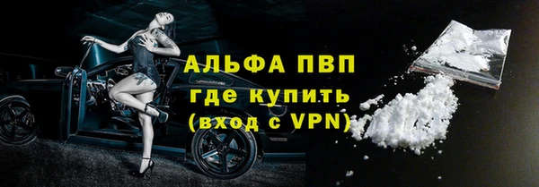 сатива Беломорск