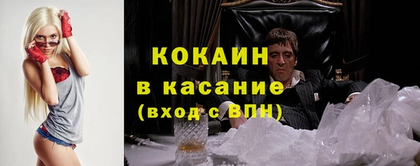 крисы Баксан