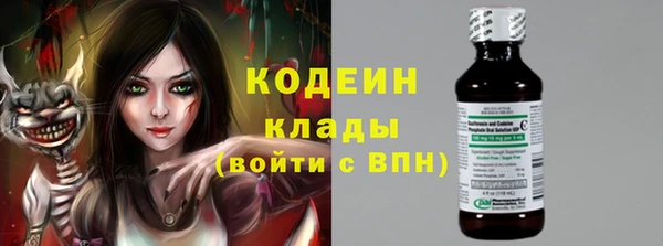 индика Аркадак