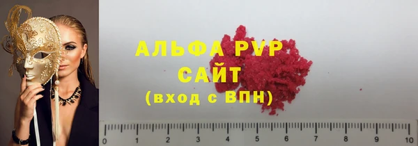 сатива Беломорск