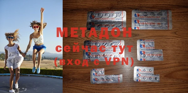 сатива Беломорск