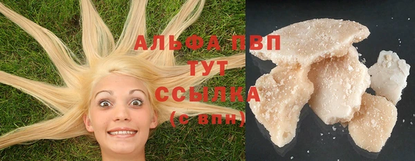ешки Белокуриха